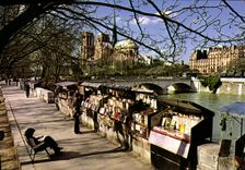 CPM Paris Notre Dame Et Les Bouquinistes
