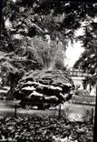 CPM Montpellier Jardin Public