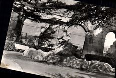 CPM Arles Jardin des Lices