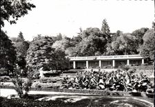 CPM Arles Les Jardins
