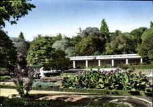 CPM Arles Les Jardins