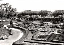 CPM Arles Les Jardins
