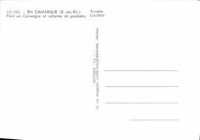 CPM En Camargue Pont en Camargue et Cabanes de Gardians