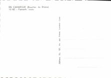 CPM Camargne Flamants Roses