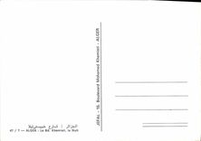 CPM Alger Le Khemisti La Nuit