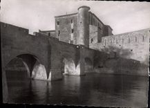 CPM Aigues Mortes Vue Des Remparts