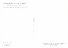 CPSM Fontainebleau La Foret Dans Les Gorges De Franchard