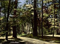 CPSM Fontainebleau Sur La Route Ronde