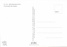 CPSM Nice Promenade Des Anglais