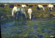 CPSM Camargue Avec Les Gardians Un Ciel Tres Pur