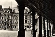CPSM Le Chateau De Blois