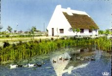 CPSM En Camargue Avec Les Gardians Cabane de Gardians au Milleu des Marais