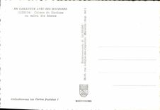 CPSM En Camargue Avec Les Gardians Cabane de Gardians au Milleu des Marais