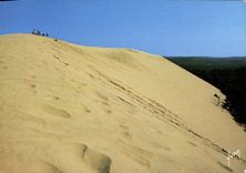 CPSM La Dune De Pyla Bassin d'Arcachon Grand site National la Dune de Pyla est la Plus haute d'Europ