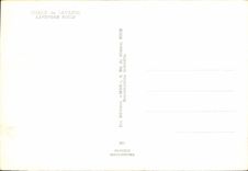 CPSM Champ De Lavande Lavender Field