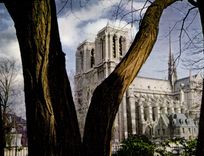CPSM Paris Notre Dame