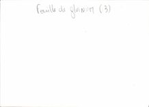 CPSM Fouille De Glanum