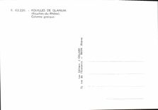 CPSM Fouilles De Glanum Colonne Grecque