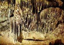 CPSM Les Grottes D'Arcy Sur Cure Les Draperies