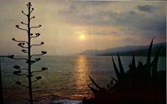 CPSM Couleurs Et Lumiere De France Coucher De Soleil Sur La Mer