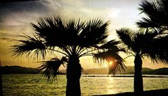 CPSM Couleurs Et Lumiere De France La Cote D'Azur Miracle De La Nature