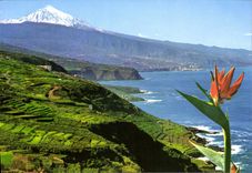 CPSM Tenerife De Foedre