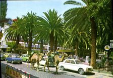 CPSM Puerto De La Cruz Teneride Plaza Del Charco