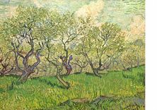 CPSM Vincent Van Gogh Boomgaard In Bloei