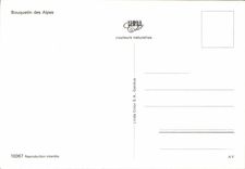 CPSM Bouquetin Des Alpes