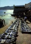 CPSM Sesimbra Portugal Lota Fish Saic