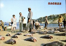 CPSM Sagres Portugal Lata