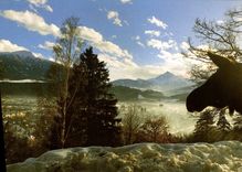 CPSM Alpenzoo Innsbruck Tirol Austria