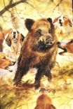 CPSM Sanglier Au Ferme Aquarelle Dominique Pizon Ediloisir St Gaudens