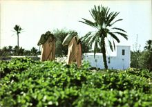 CPSM Jerba Paysafes Tunisie