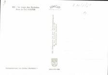 CPSM La Route Des Pyrenees Dans Le Col D'Aspin