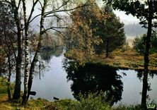 CPSM En Correze Matin d'Automne sur la Vezere 