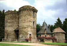 CPSM Pompadour Correze Jumenterie du Domaine de la Riviere 