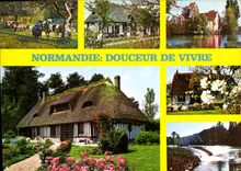 CPSM Vaches Normandes Chaumiere Normandes L'Eglise de Cricqueboeuf 