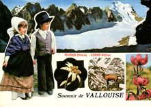 CPSM Souvenir de Vallouise Merveilles des Hautes Alpes 