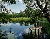 CPSM En Sologne L'Etang a la Vanne 