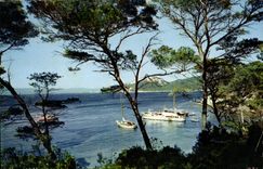 CPSM Refletes de la Cote D'Azur Pinedes et Calanques 