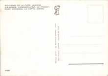 CPSM Souvenir de la Cote Varoise 