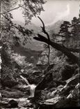 CPSM La Corse Ile de Beaute 