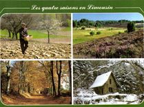 CPSM Les Quatre saisons en Limousin 