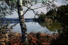 CPSM Le Limousin Pittoresque L'Etang de Cieux 