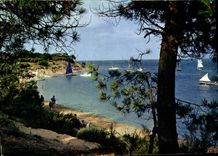 CPSM Ile de Re Charente Maritime les Portes Le Fier Anse de Trousse Chemise 