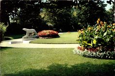 CPSM Dijon Cote d'Or Jardin Darcy L'Ours de Pompon 