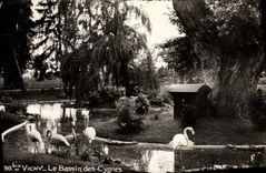 CPSM Vichi Le Bassin des Cygnes 