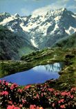 CPSM Les Alpes Pittoresques Le printemps en haute altitude Le Lac du Lauzon 