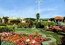 CPSM Narbonne Plage Aude Boulevard Central et Jardin Floral 